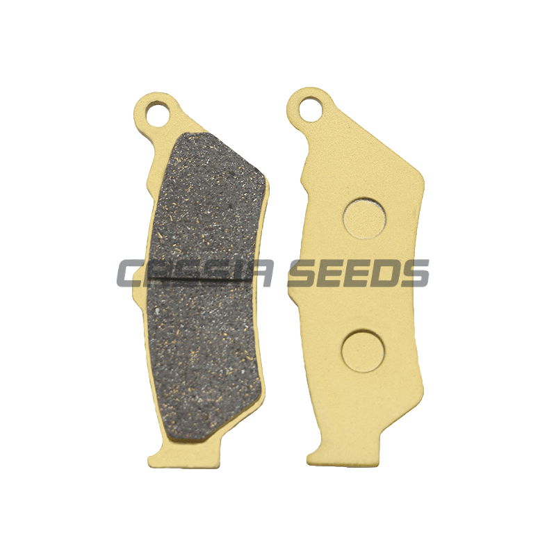 Pastilhas de freio dianteiro e - Carbon Ceramic Motorcycle Brake Rotor avaliação e preço