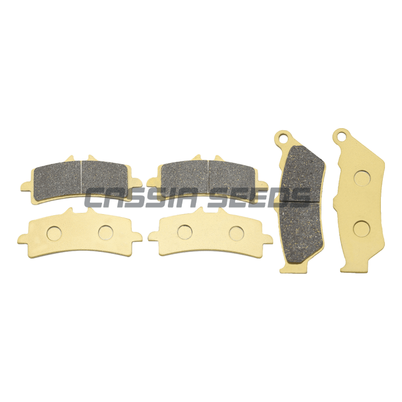 Pastilhas de freio dianteiro e - Carbon Ceramic Motorcycle Brake Rotor avaliação e preço